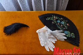Vajdasági Magyar Amatőr Színjátszók XXVII. Találkozója Topolyán (Molnár Edvárd felvétele)