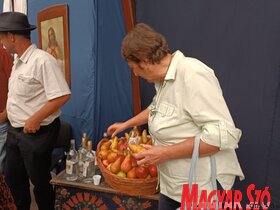 Vajdasági Magyar Táncháztalálkozó és Sokadalom Topolyán (Kazinczy Paszterkó Diana felvétele)