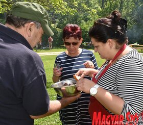 Vajdasági Piknik Etyeken