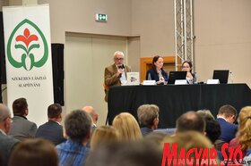 Fotó: Molnár Edvárd