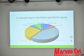 Fotó: Molnár Edvárd