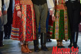 X. Palicsi Magyar Sokadalom (Molnár Edvárd Felvétele)