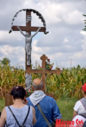 Zarándokúton Moholról Doroszló felé