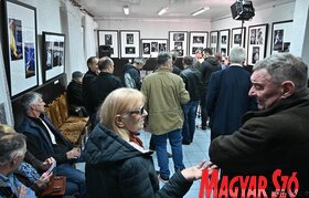 Zoran Veselinović könyvbemutatója Kiszácson (Ótos András felvétele)