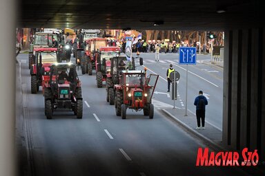 Tüntetés Szabadkán