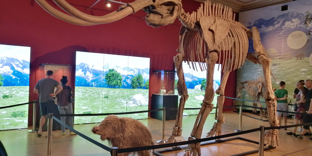 Ősállatok nyomában