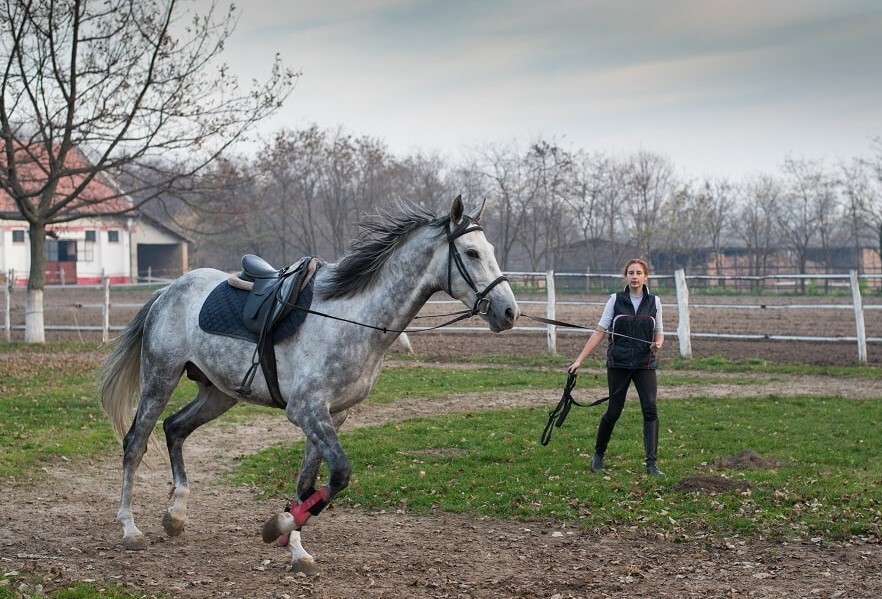 Korokon, évszázadokon átívelő történet