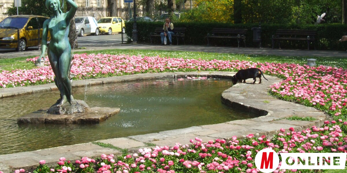 Ingoványból zöld oázis