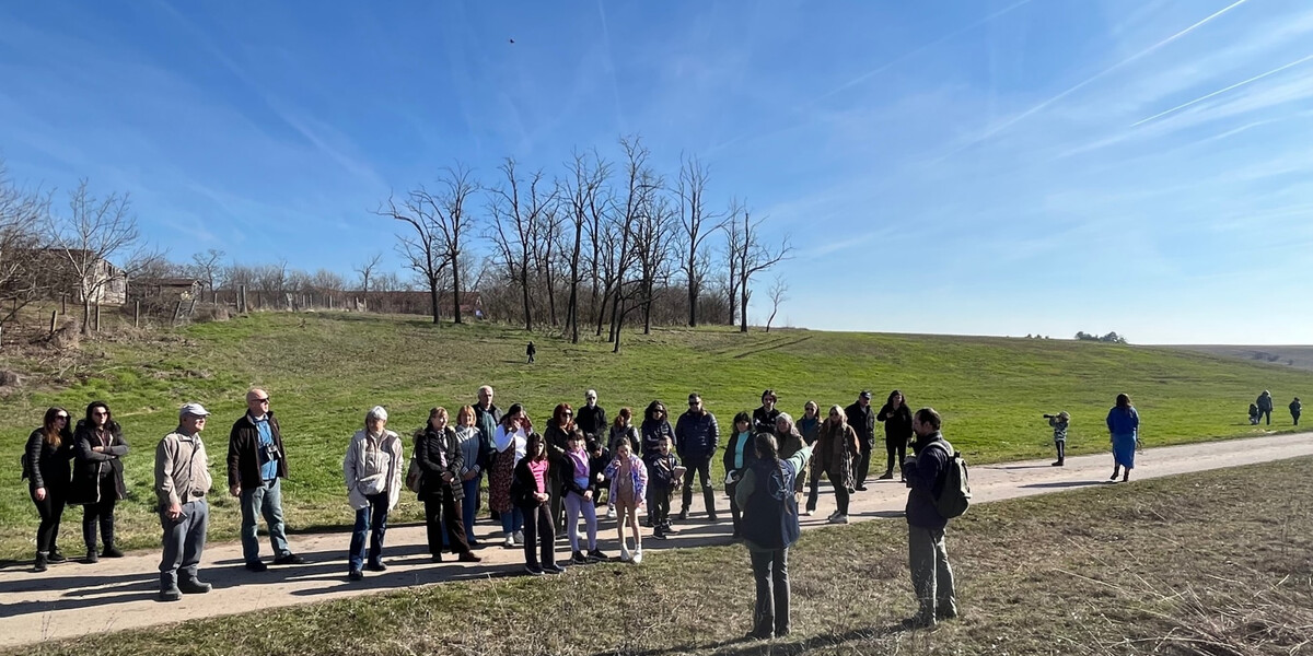 Tavaszhírnök a löszgyepen